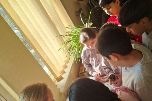 КОЛЕДНА РАБОТИЛНИЦА ЗА ДЖУДЖЕТА